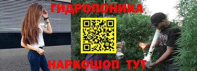 гашик Краснознаменск