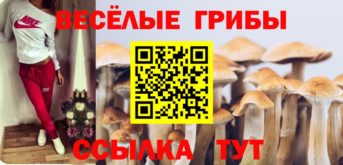 Верхняя Пышма  Галлюциногенные грибы Magic Shrooms  Вход с VPN  хочу   Галлюциногенные грибы мицелий 